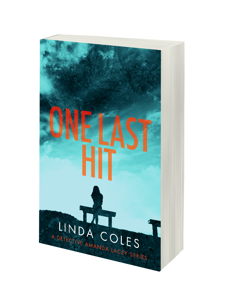 ONE LAST HIT (BOOK4)