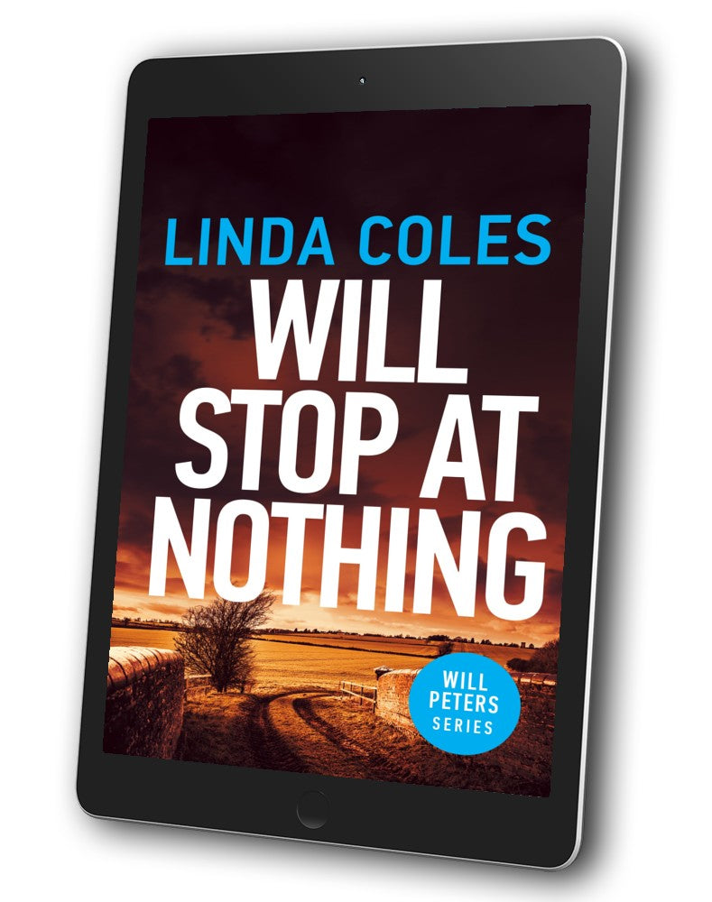 WILL STOP AT NOTHING - EBOOK (BOOK 3)